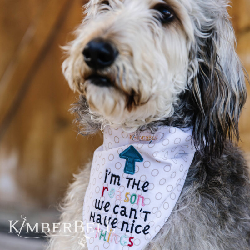 Kimberbell Playful Pet Kerchiefs - Image 8