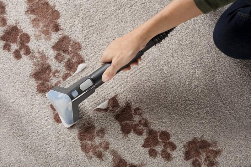 Hoover Power Scrub Elite Pet - Image 3