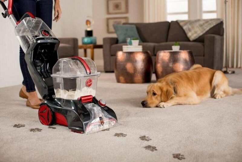 Hoover Power Scrub Elite Pet - Image 7