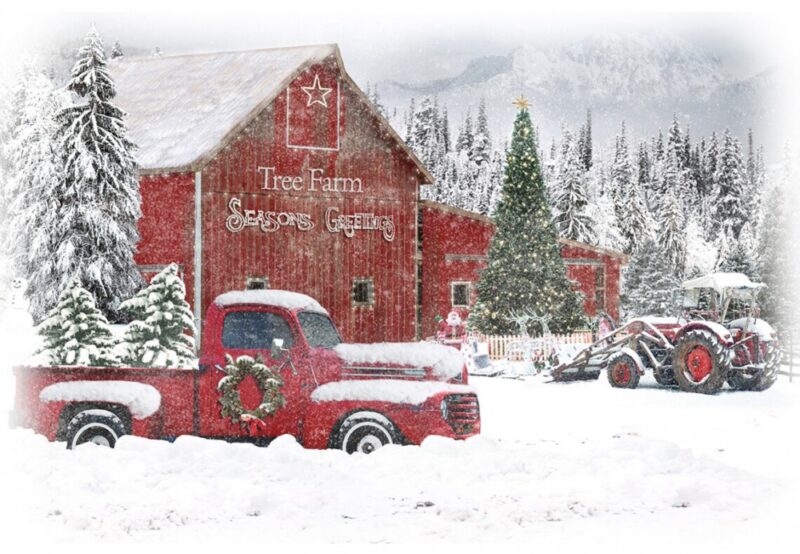 Hoffman Christmas Tree Farm Panel