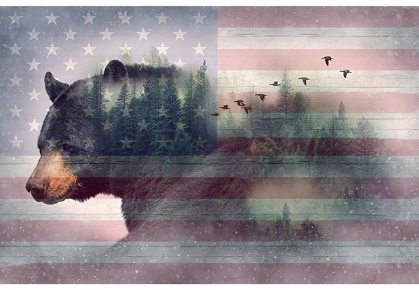 Hoffman Americana Grizzly Bear Panel