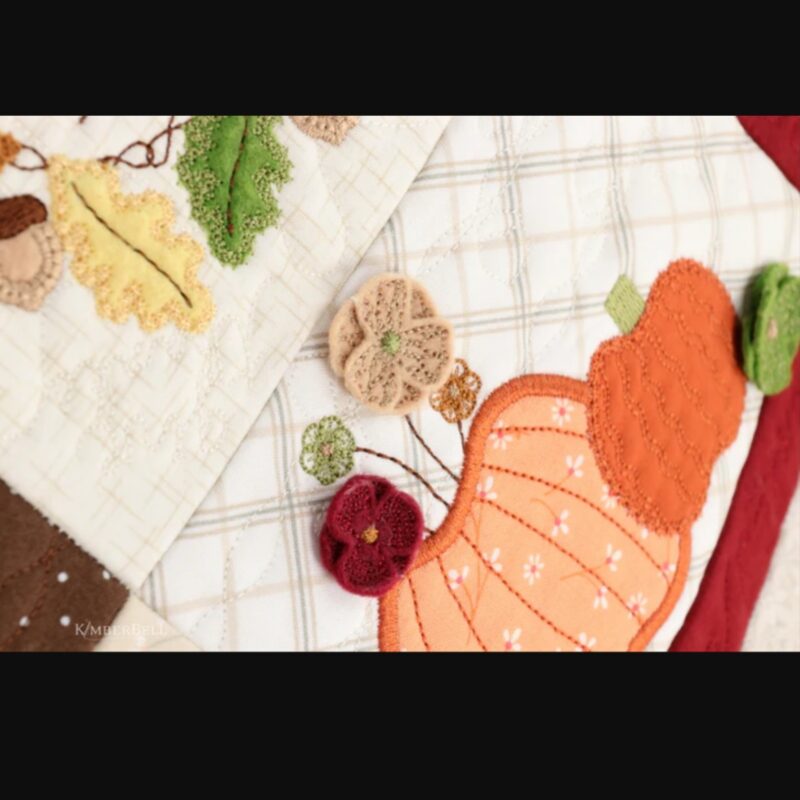 Kimberbell In All Things Give Thanks Pillow kit - Image 5