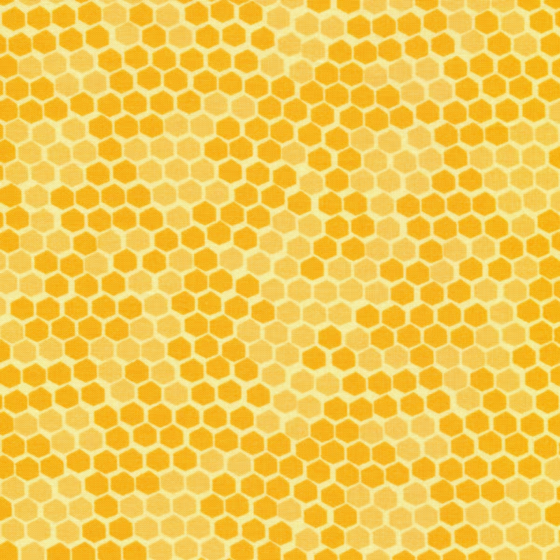 Wilmington Buzzin' with My Gnomie Yellow Honeycomb