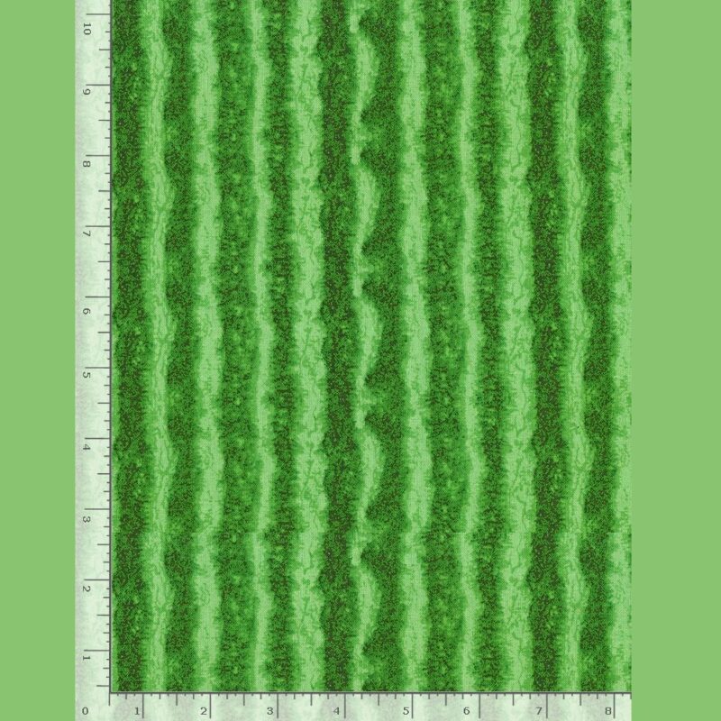 Timeless Green Watermelon Texture Stripes # C1138-GREEN / FRUIT-CD1138 GREEN