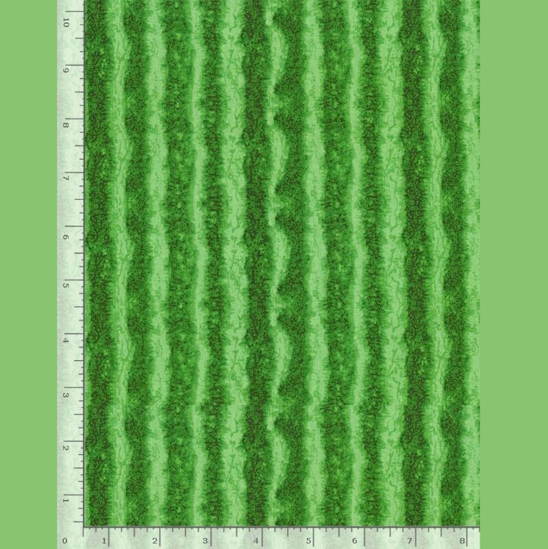 Timeless Green Watermelon Texture Stripes # C1138-GREEN / FRUIT-CD1138 GREEN