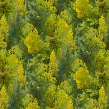 Autumn Retreat Tree Texture Harvest